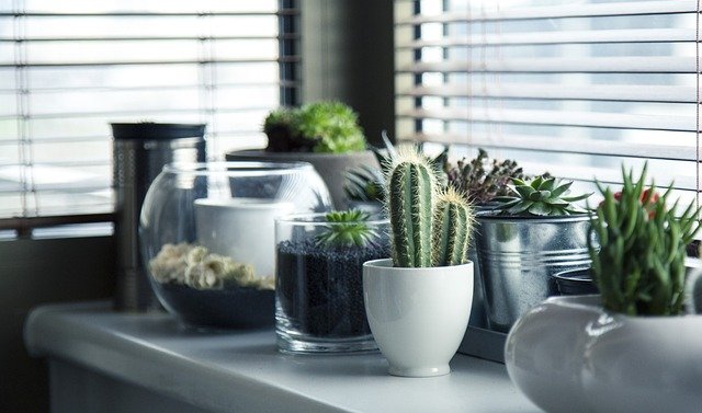 Embellece tu terraza con luces LED para crear un ambiente acogedor