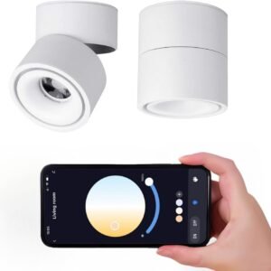 Tuya Smart Life - Foco de techo LED regulable para interiore