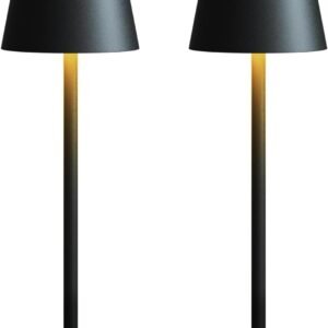 Fizrice Lámpara de Mesa Inalámbrica Recargable: Lámpara de M