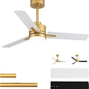 LANMEL - Ventilador de techo moderno de bajo perfil con luce