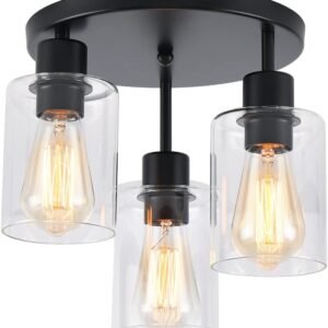 IHENGYANLT Lámpara industrial de 3 luces, color negro mate,