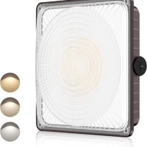 DEMILARE Luces LED de toldo de 60 W, potencia seleccionable