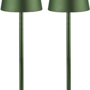 CHLORANTHUS Paquete de 2 lámparas de mesa inalámbricas, 3 co