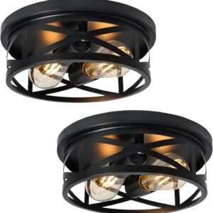 Elekeed Lámpara de Techo Adosada de 2 Luces, Luces de Techo