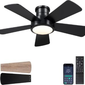 Hounberi - Ventiladores de techo con luces, ventilador de te