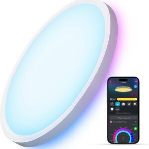 Govee Luz de Techo Inteligente, Lámpara de Techo LED RGBIC,