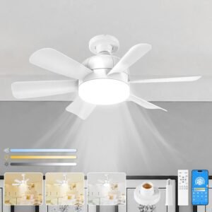 Ventilador de luz E26 de techo de 6 velocidades con viento n