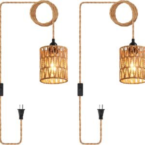 CAFULAM Lámpara colgante enchufable, lámpara colgante indust