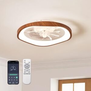 Monikessy 19.7" Modern Ceiling Fans with Lights and Remote,