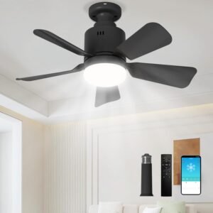 LANMEL Ventilador de Enchufe con Luz con Control Remoto y AP