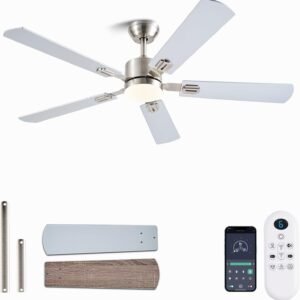 FUMLTP Ventiladores de techo de 56 pulgadas con luces y cont