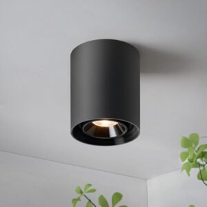 OKELI Lámparas de techo LED regulables modernas negras para