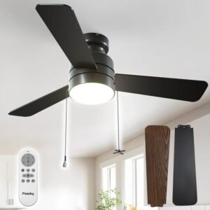 Passky - Ventiladores de techo con luces, ventilador de tech