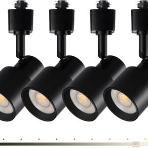 AIBISOD Cabezales de iluminación de riel de 10 W H, cabezale