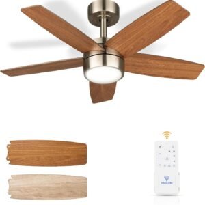 Vagizm Ventilador de techo con luz y mando a distancia: Vent