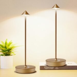 Tpczqj Juego de 2 lámparas de mesa recargables inalámbricas,