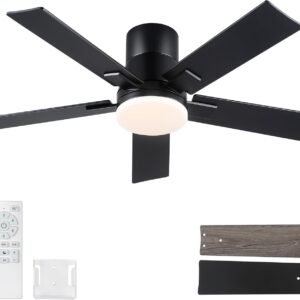 Rayqueen Ventiladores de techo de 42 pulgadas con luces y co