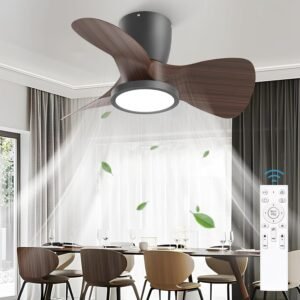 SYLEEN 24'' Ceiling Fans with Lights and Remote, DC Motor La