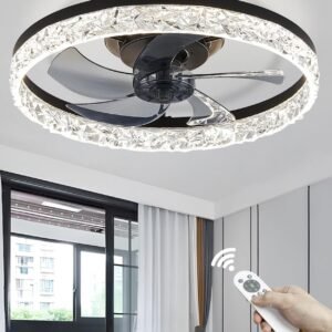 ANALOI Ventiladores de techo con luces, lámpara de techo neg