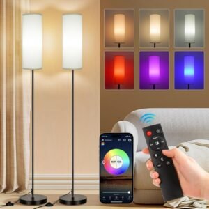 FRIDEKO HOME Paquete de 2 lámparas de pie para sala de estar