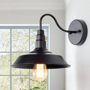 GEPOW Apliques de pared negros, iluminación industrial de cu
