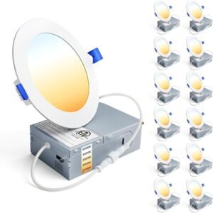Ensenior Paquete de 12 Luces LED Empotradas de Techo de 4 Pu