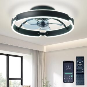 Ayaoty Ventiladores de techo con luces y control remoto, ven